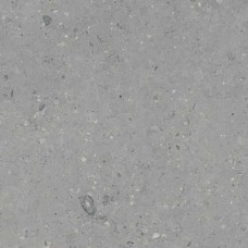 Гранитея Аркаим - G213 Серый Матовый неполированный