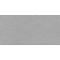 Gresse Sigiriya - Clair лофт светло-серый (серая масса) 120x60 GRS 09-09