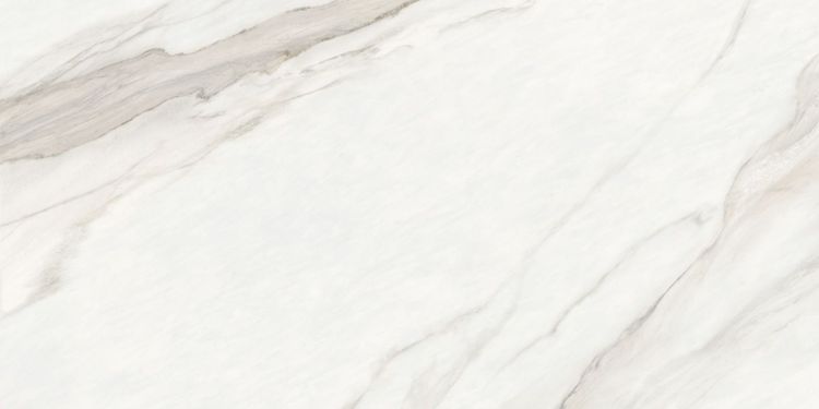 Изображение Керамогранит Delacora Calacatta Monsoon 120x60