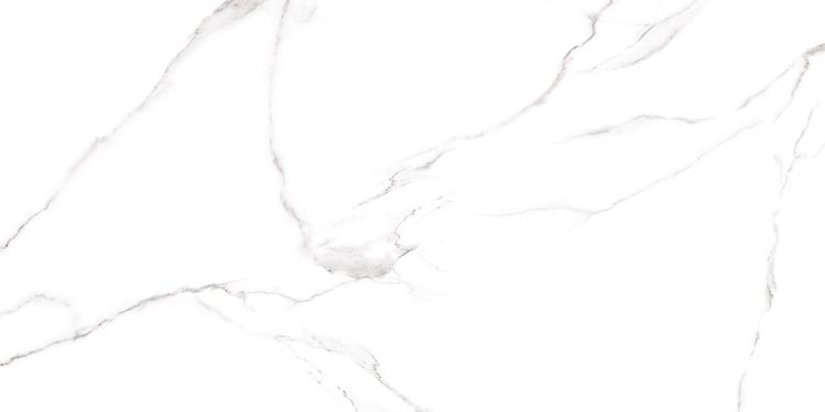 Изображение Керамогранит Alma Ceramica Carrara 120x60