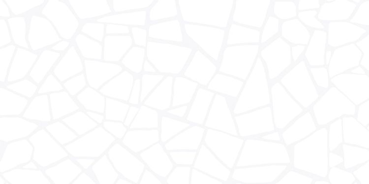 Изображение Керамическая плитка AltaCera Smalta White 24.9x50