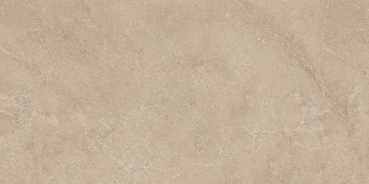 Изображение Керамогранит Ametis by Estima EXS 303 120x60
