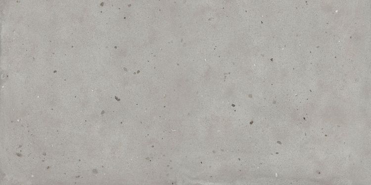 Изображение Керамогранит Italon Авангард Сильвер Рет 120x120