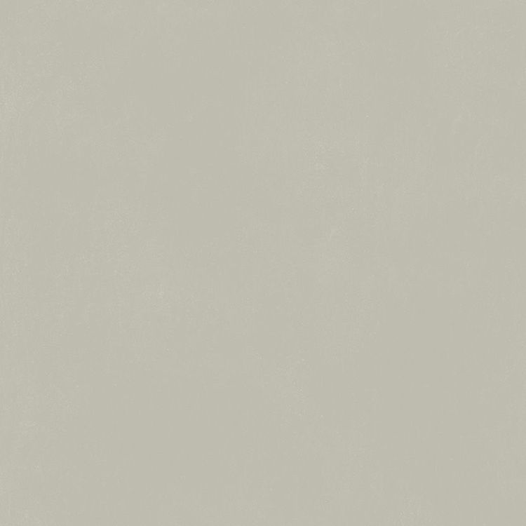 Изображение Керамогранит Italon Форум Слим Сильвер Рет 80x80