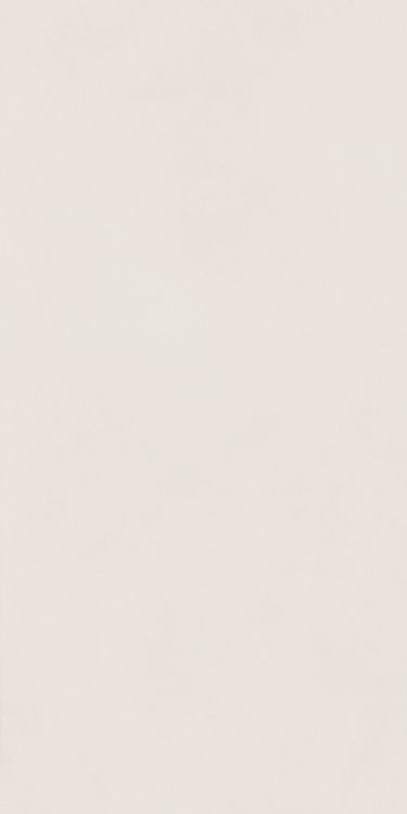 Изображение Керамогранит Italon Форум Слим Полар 60x120