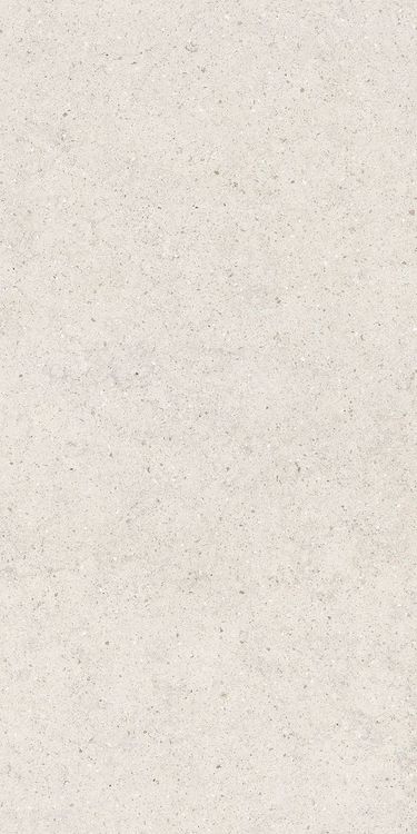 Изображение Керамогранит Italon Форум Стоун Полар 60x120