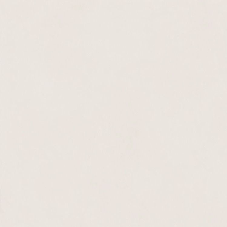 Изображение Керамогранит Italon Форум Слим Полар Рет 120x120