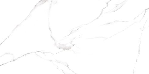 Изображение Керамогранит Alma Ceramica Carrara 120x60