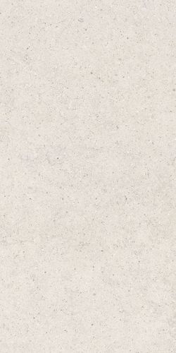 Изображение Керамогранит Italon Форум Стоун Полар 60x120