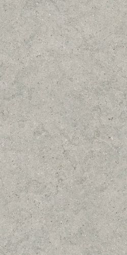 Изображение Керамогранит Italon Форум Стоун Сильвер 60x120