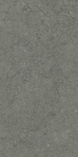 Изображение Керамогранит Italon Форум Стоун Айрон 60x120