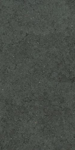 Изображение Керамогранит Italon Форум Стоун Петрол 60x120