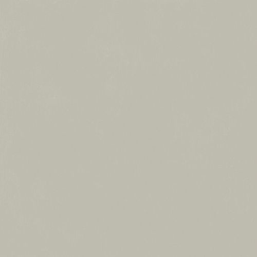 Изображение Керамогранит Italon Форум Слим Сильвер Рет 120x120